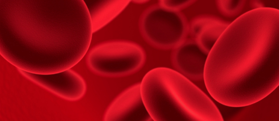 anticoagulantes-sangre